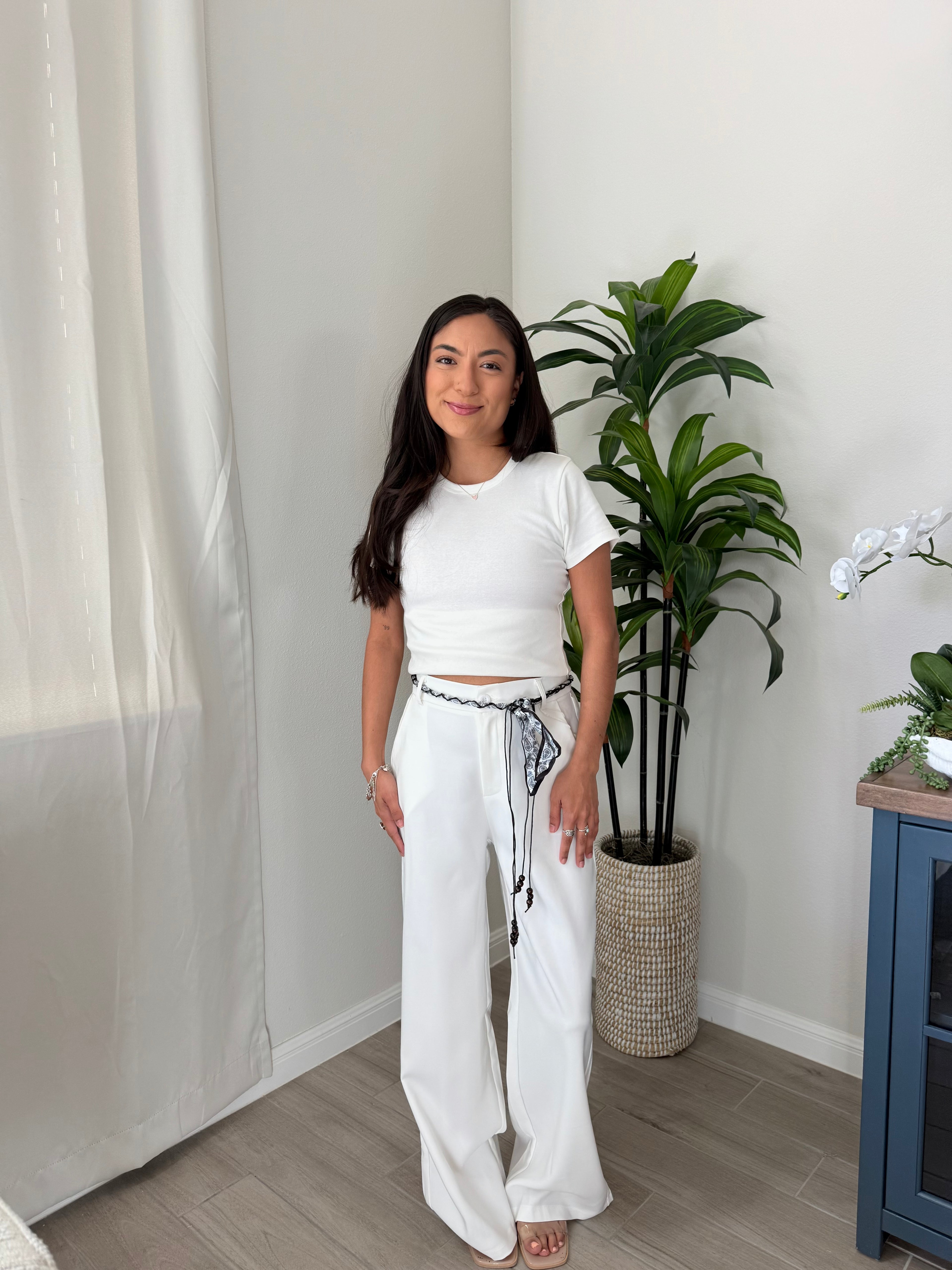 Sophisticated slack pants