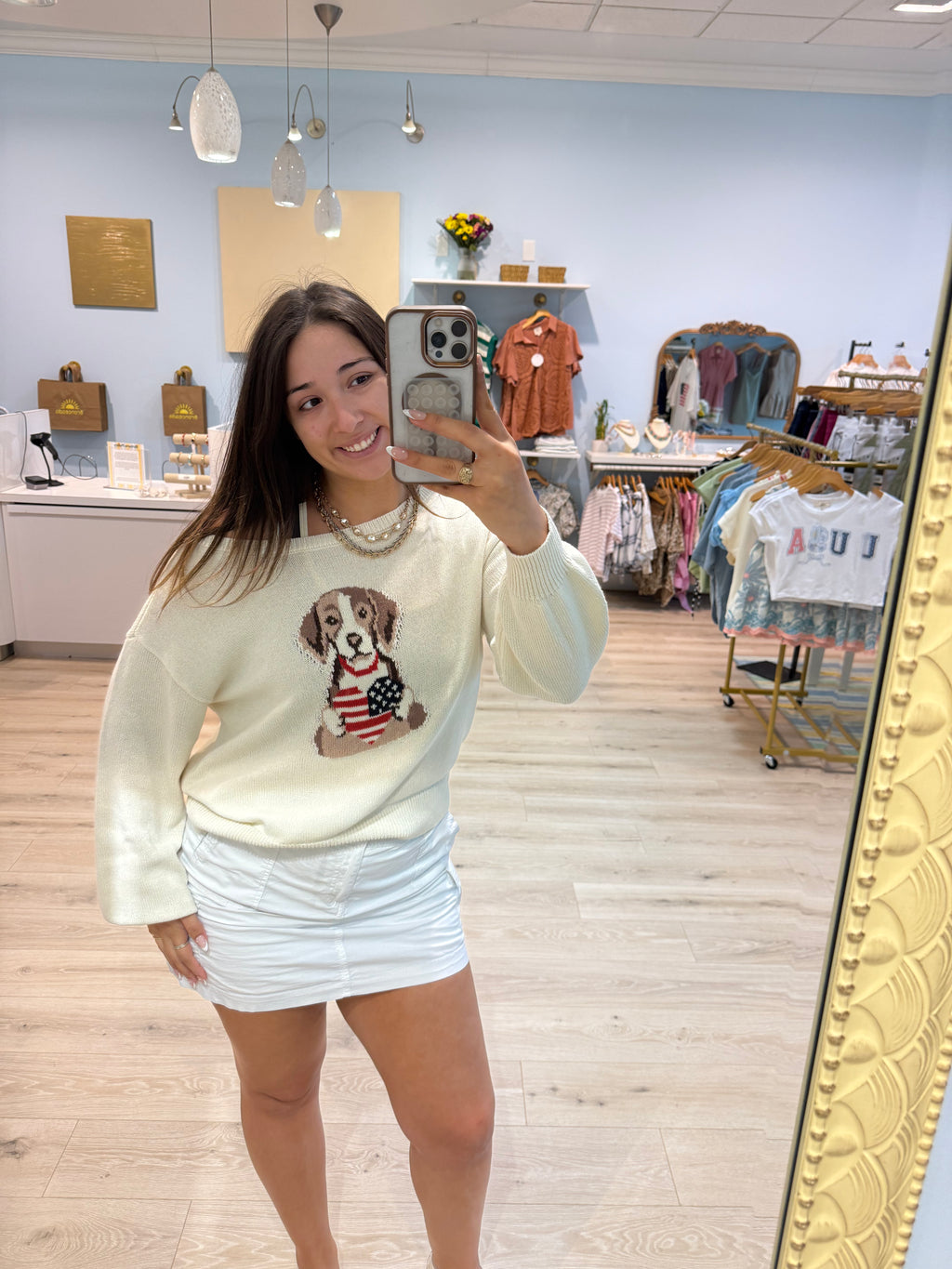 American dog sweater
