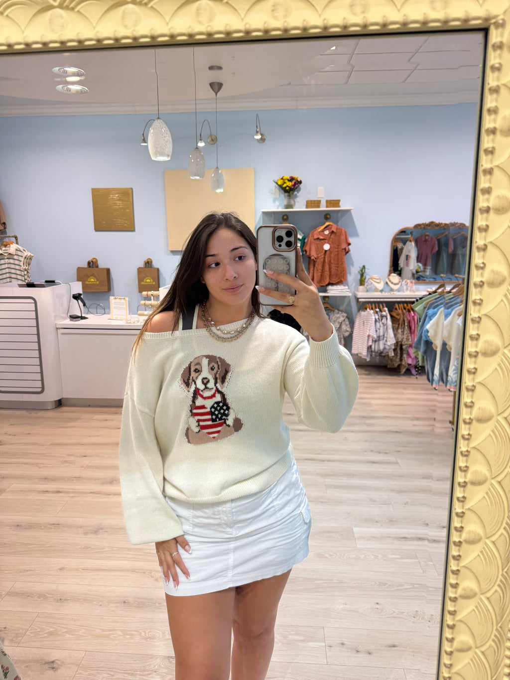 American dog sweater