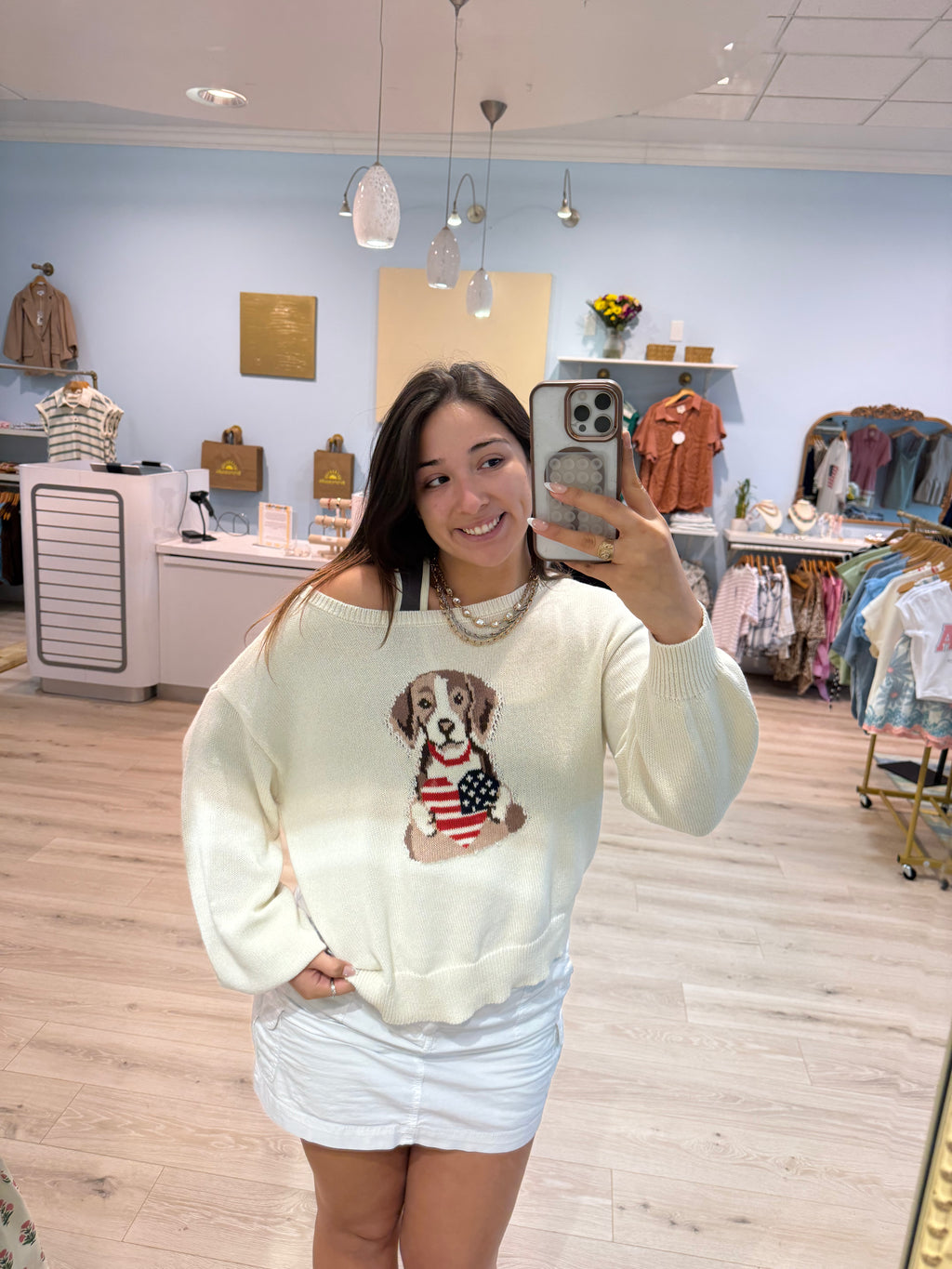 American dog sweater