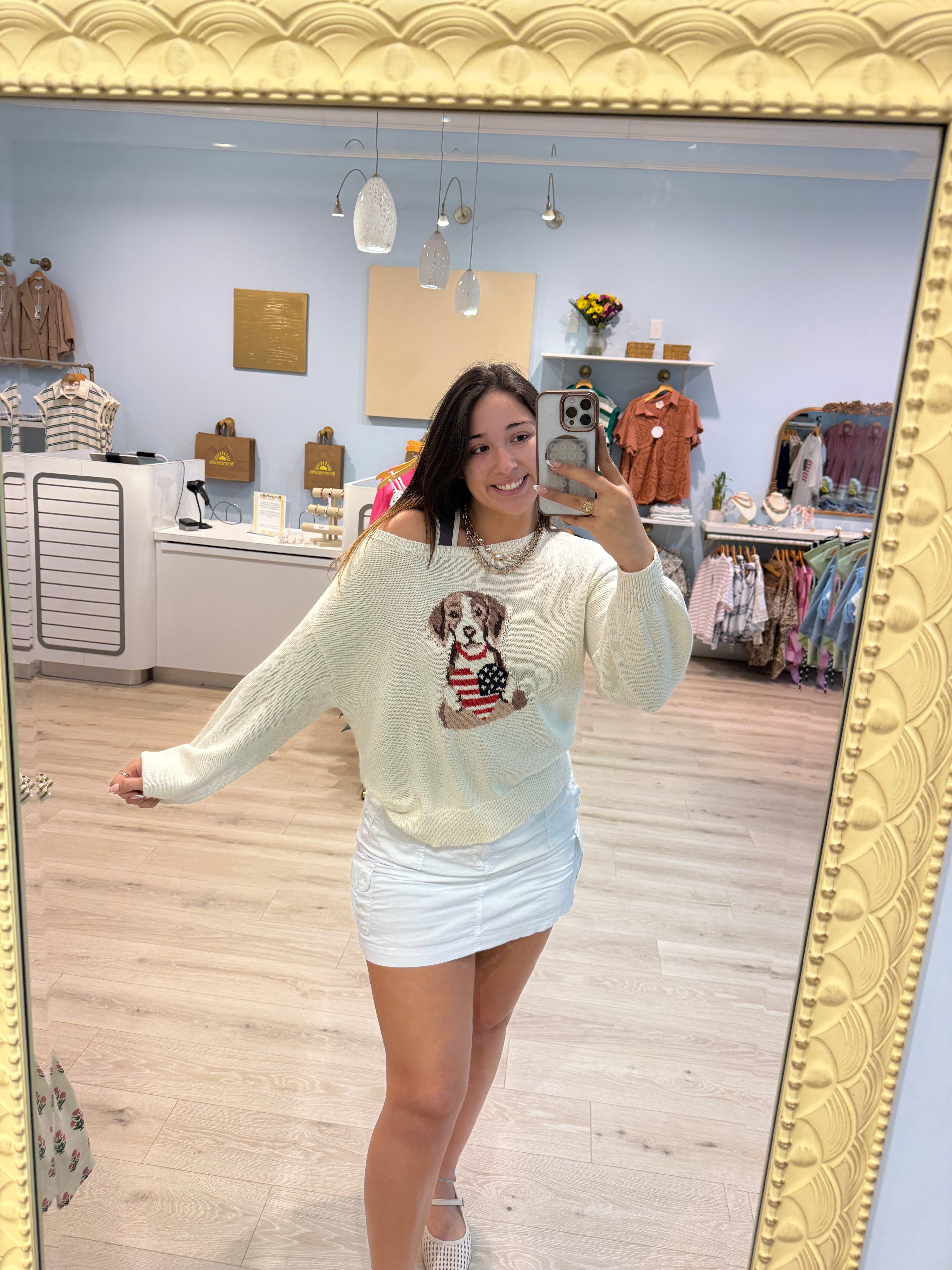 American dog sweater