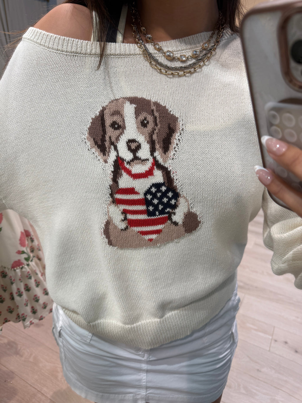 American dog sweater