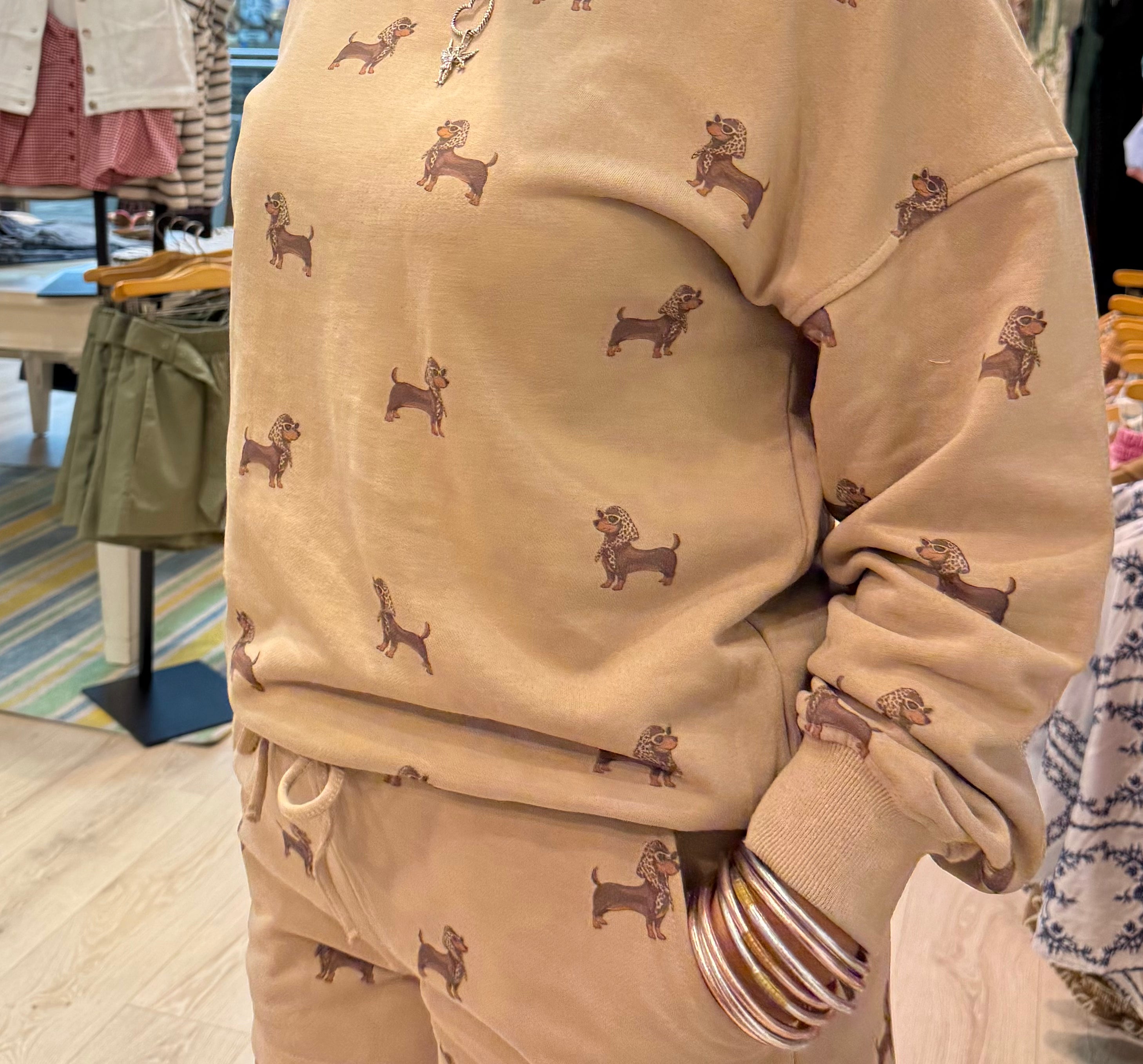 dachshund puppy shorts